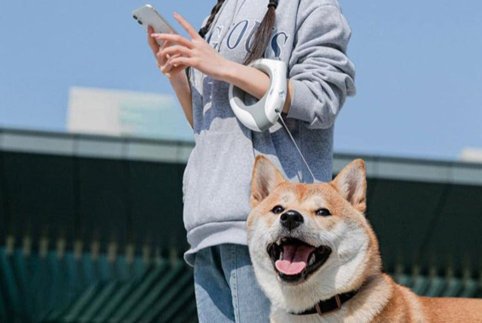 Una ragazza passeggia con il suo cane con il nostro guinzaglio LED PetLove™